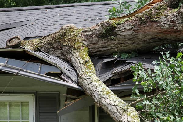 Storm Damage Repair Services